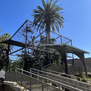 Old Rhinoceros Hornbill Aviary (empty)