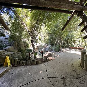 Tropical Rain Forest - Entrance Area