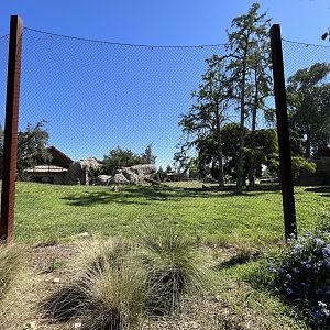 Lion Exhibit - superb!