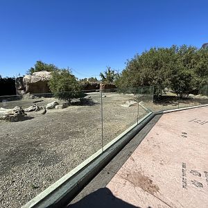 Warthog Exhibit