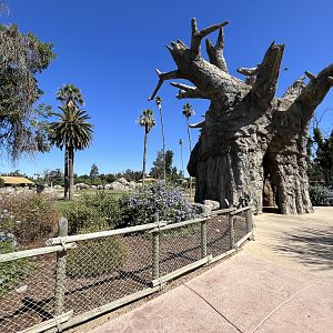 African Elephant Exhibit