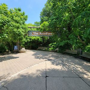 Cleveland Zoo, Rainforest - Path to entrance