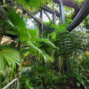 Cleveland Zoo, Rainforest - First floor