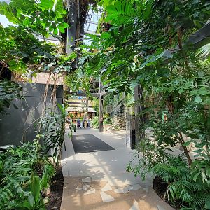 Cleveland Zoo, Rainforest - First floor