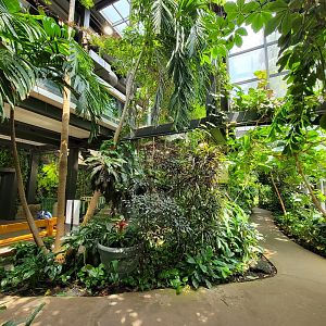 Cleveland Zoo, Rainforest - First floor