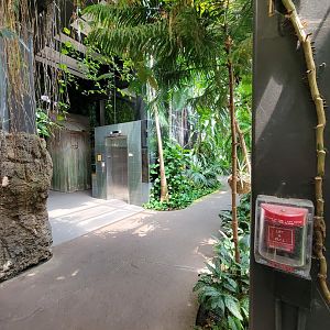 Cleveland Zoo, Rainforest - First floor, elevator