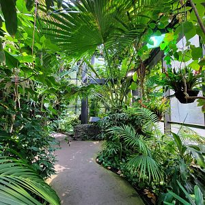 Cleveland Zoo, Rainforest - First floor