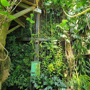 Cleveland Zoo, Rainforest - First floor