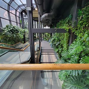 Cleveland Zoo, Rainforest - The much better staircase