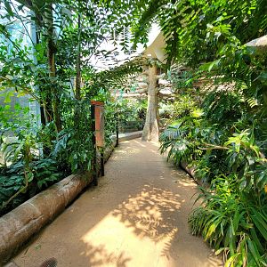 Cleveland Zoo, Rainforest - Path on second floor