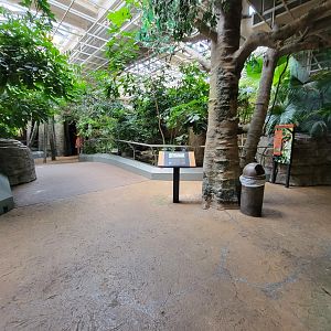 Cleveland Zoo, Rainforest - Path