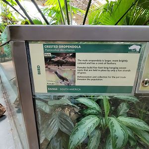 Cleveland Zoo, Rainforest - Signage example