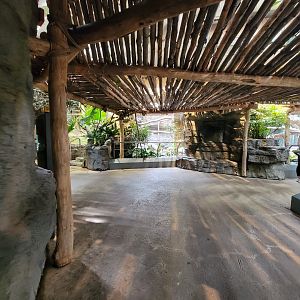 Cleveland Zoo, Rainforest - Path into next section (no more free flight)