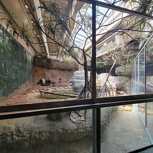 Cleveland Zoo, Rainforest - Asian small-clawed otters