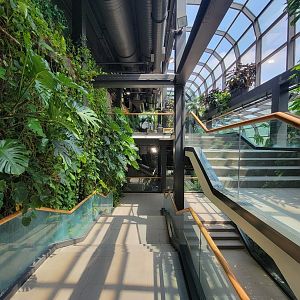 Cleveland Zoo, Rainforest - Main staircase