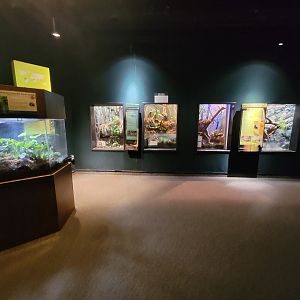 Cleveland Zoo, Rainforest - Inside entrance to exhibit area on first floor