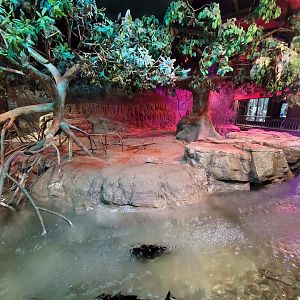 Cleveland Zoo, Rainforest - Cape porcupine and various fishes