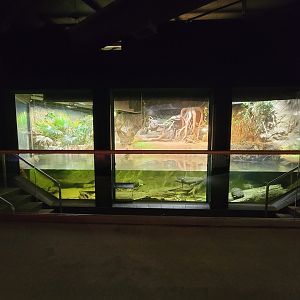 Cleveland Zoo, Rainforest - Gharial exhibit