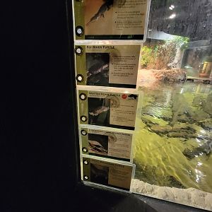 Cleveland Zoo, Rainforest - Species signed in gharial exhibit