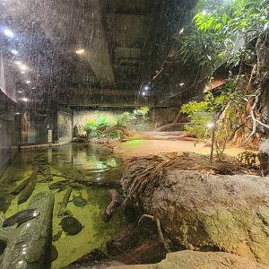 Cleveland Zoo, Rainforest - Gharial exhibit