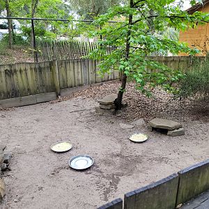 Mediterranean spur-thighed tortoise exhibit -Zoo de Labenne (2023)
