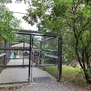 Entrance to the aviary -Zoo de Labenne (2023)