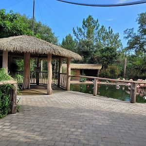 Walkthrough aviary -Zoo de Labenne (2023)