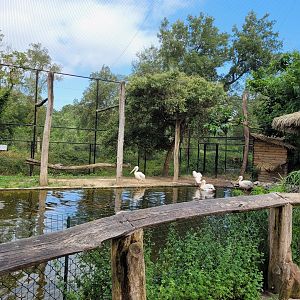 Walkthrough aviary -Zoo de Labenne (2023)