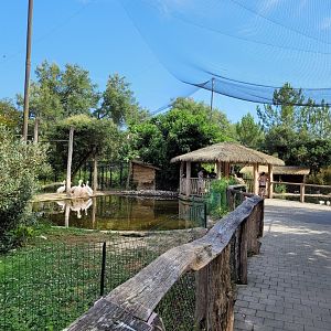 Walkthrough aviary -Zoo de Labenne (2023)