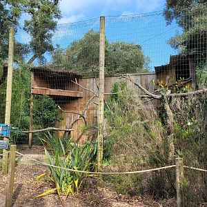Spectacled owl exhibit -Zoo de Labenne (2023)