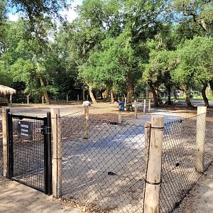 Alpaca exhibit -Zoo de Labenne (2023)