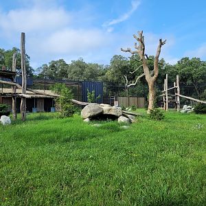 Northern lynx exhibit -Zoo de Labenne (2023)