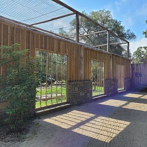 Verreaux eagle exhibit -Zoo de Labenne (2023)