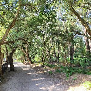 View -Zoo de Labenne (2023)