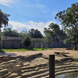 Mackenzie valley wolf exhibit -Zoo de Labenne (2023)