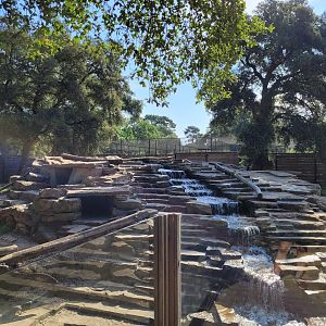 Mackenzie valley wolf exhibit -Zoo de Labenne (2023)