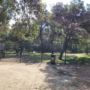 Ring-tailed lemur exhibit -Zoo de Labenne (2023)