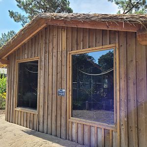 Ring-tailed lemur house -Zoo de Labenne (2023)
