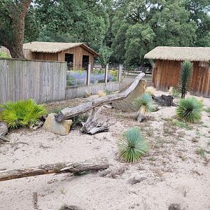 Crested porcupine and Meerkat exhibit -Zoo de Labenne (2023)