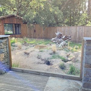 Yellow mongoose exhibit -Zoo de Labenne (2023)