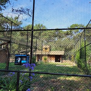 Wattled crane exhibit -Zoo de Labenne (2023)