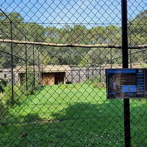 Saddle-billed stork and Abdim's stork exhibit -Zoo de Labenne (2023)