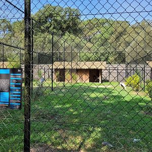 White-naped crane exhibit -Zoo de Labenne (2023)