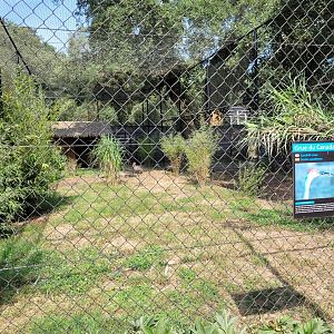 Sandhill crane exhibit -Zoo de Labenne (2023)