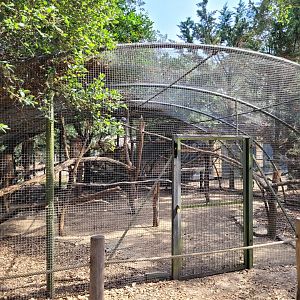 Galah exhibit -Zoo de Labenne (2023)