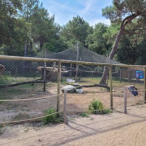 Marabou exhibit -Zoo de Labenne (2023)