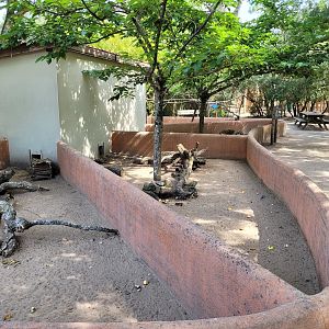 Domestic guinea pig exhibits -Zoo de Labenne (2023)