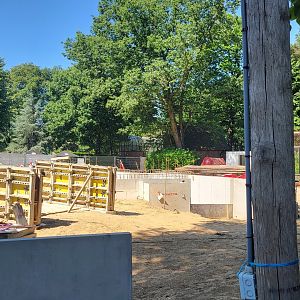 Construction-site new Koala-area