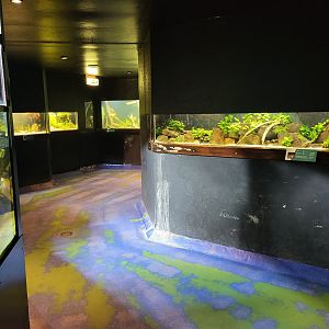 View into the Aquarium