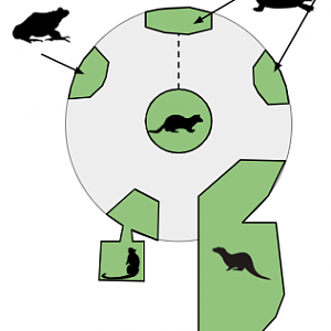 ZooSC at Myrtle Beach -> Conservation Module